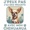 chien doux chihuahua 1
