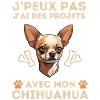 chien doux chihuahua 2