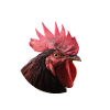 Majestic Rooster