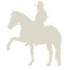 Action Pure Horse Dynamics