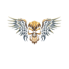 Yin Yang Death Angel