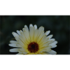 20231007172541 MG 1532
