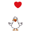 J'aime les mouettes