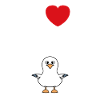 J'aime les mouettes