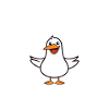 Humour petit mouette