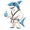 Teakwondo