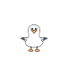 Humour petit mouette