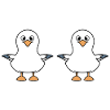 Humour petit mouette