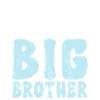 Big Brother Gift