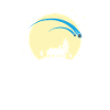 Sternschnuppen am Nachthimmel