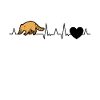 Coati Heartbeat Coati
