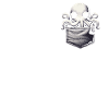 Octopus Octopus Octopus Cuttlefish Animal