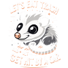Opossum Possum Animal