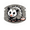 Opossum Possum Animal