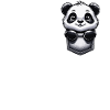 Panda Bear Panda Animal Pandas