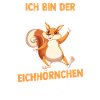 Eichhörnchen