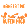 Eichhörnchen