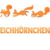 Eichhörnchen