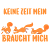 Eichhörnchen