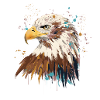 Aquarelle d’aigle