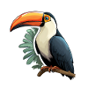 Toucan Exotic Bird