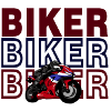 Sport Biker
