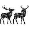 Hirsch