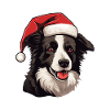Border Collie tête de chien Noël Noël
