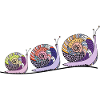 Snails
