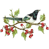 Bunter Vogel