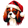 Weihnachtspullover Mütze - Schickes Hundegeschenk