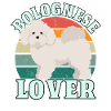 Bolognese Lover