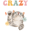 Groovy Cat Lover