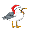 Seagull with Santa hat