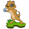 Meerkat Handball Player Handball