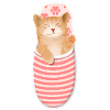 Chaton Roux