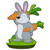 Carottes lapin