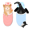 Chatons Mignons