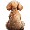 Caniche