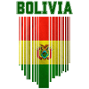 Drapeau bolivien, fierté bolivienne