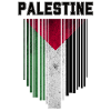 Flag of Palestine, Palestinian pride