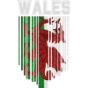 Flag of Wales, Welsh pride