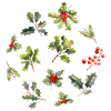 Christmas botany