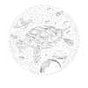 Cosmic Turtle: Star Path