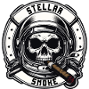 Astro Skull