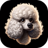 Poodle head in animation style