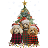 Trois chiens caniche Noël