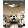 Alien UFO Invasion Selfie Beaver