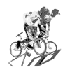 BMX