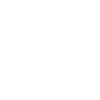 Middle Finger Car Misanthrope